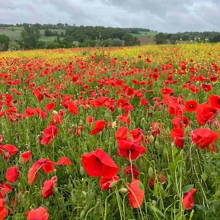 Roulotte „douceur“ 샬레 *