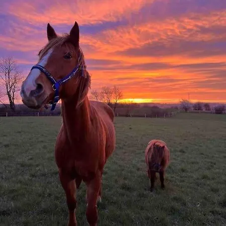 Roulotte „douceur“
